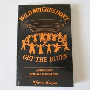 Wild Witches Don't Get The Blues Paperback Book Ffiona Morgan Wicca 1991
